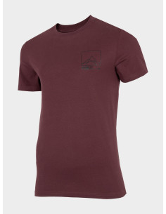 CAMISETA MANGA CORTA... 2