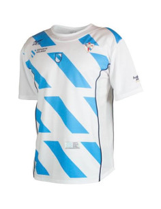 CAMISETA ZICO SELECCION...