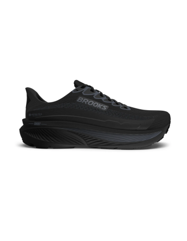 ZAPATILLAS RUNNING MUJER GHOST 17 GORETEX