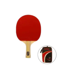 RAQUETA TENIS DE MESA P900 PRO
