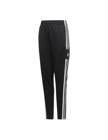 ADIDAS-Pant-SQ21 TR PNT Y